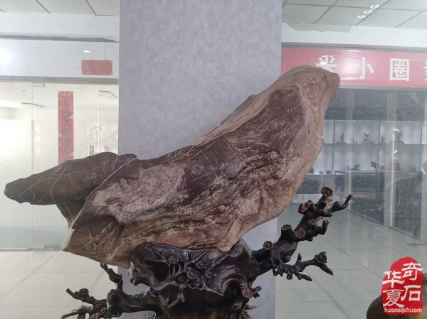 参加淮南石博会顺访王吉清石馆