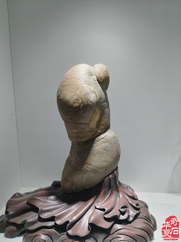 参加淮南石博会顺访王吉清石馆