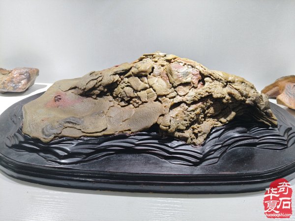 参加淮南石博会顺访王吉清石馆