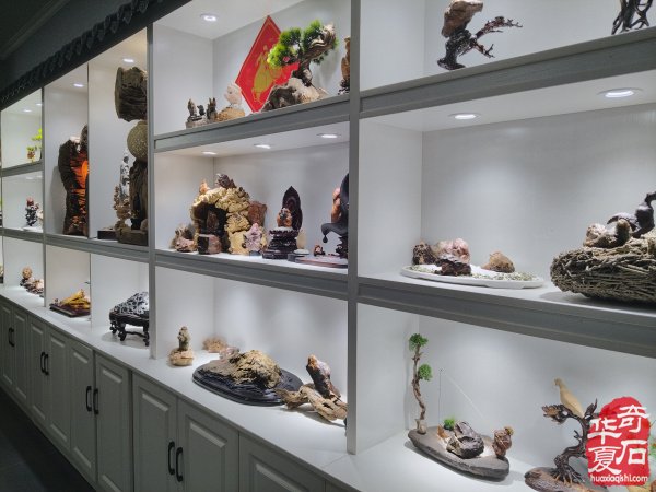 参加淮南石博会顺访王吉清石馆