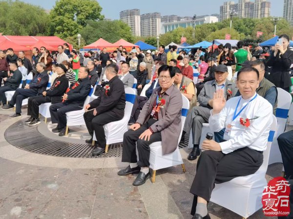 第十届中国淮南观赏石博览会在凤台县人才公园广场盛大开幕