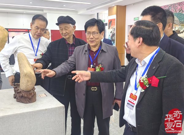 第十届中国淮南观赏石博览会在凤台县人才公园广场盛大开幕