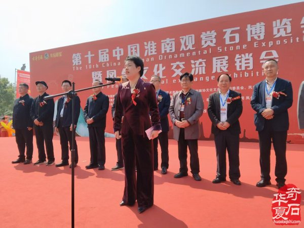 第十届中国淮南观赏石博览会在凤台县人才公园广场盛大开幕