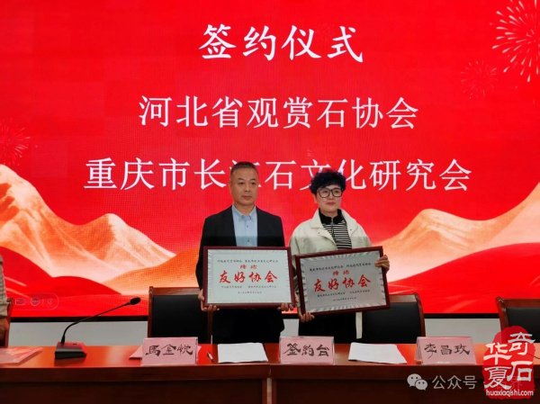 马金悦当选河北省观赏石协会第四次理事会会长