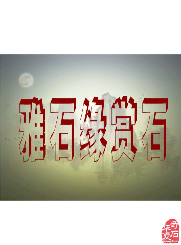 《于公赏石》喊你游阿拉善逛黄山去