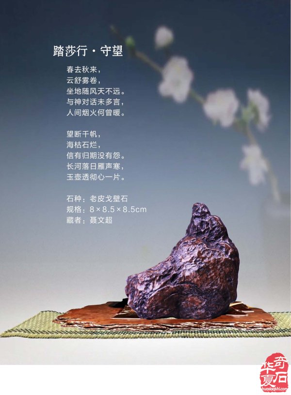 《于公赏石》喊你游阿拉善逛黄山去