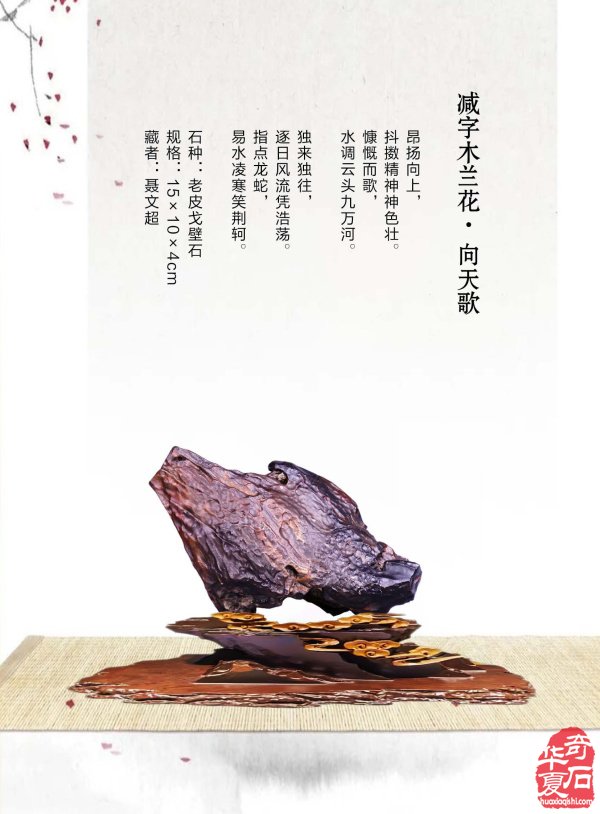 《于公赏石》喊你游阿拉善逛黄山去