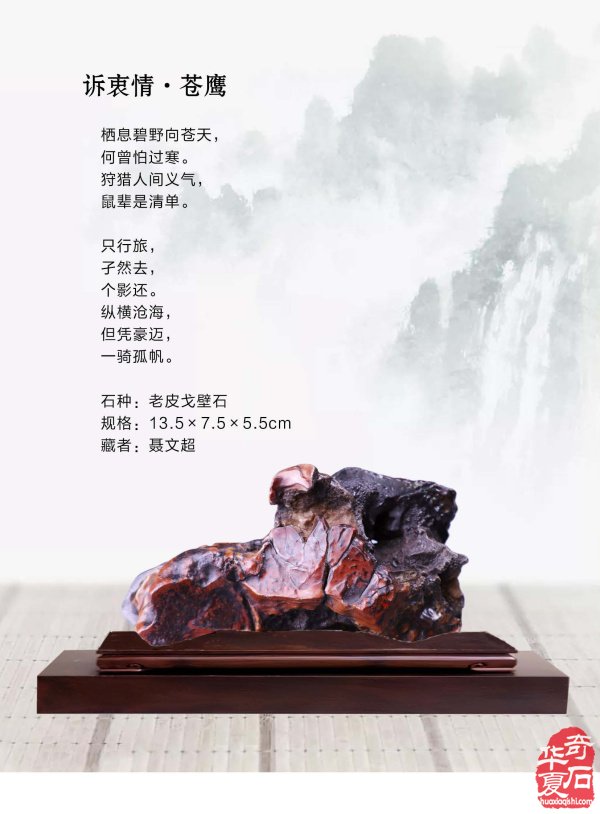 《于公赏石》喊你游阿拉善逛黄山去