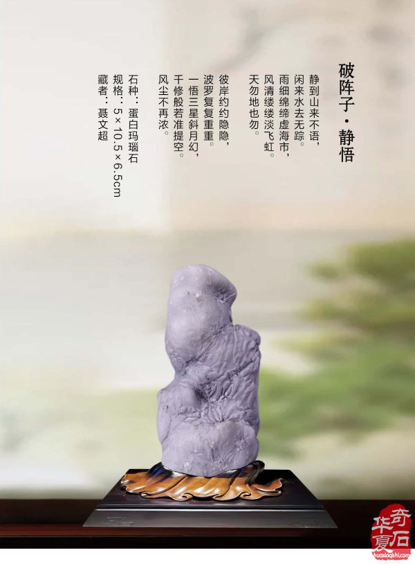 《于公赏石》喊你游阿拉善逛黄山去