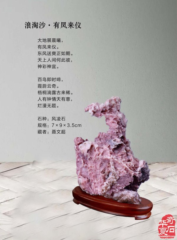 《于公赏石》喊你游阿拉善逛黄山去