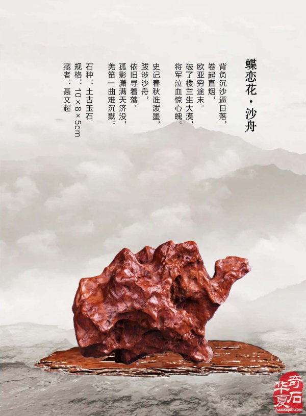 《于公赏石》喊你游阿拉善逛黄山去