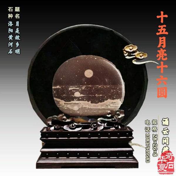 洛阳黄河奇石协会理事会暨2026年工作会议召开