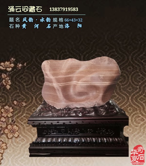 洛阳黄河奇石协会理事会暨2026年工作会议召开