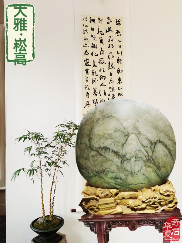 洛阳黄河奇石协会理事会暨2026年工作会议召开