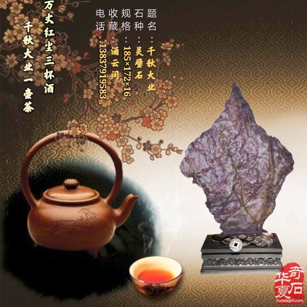 洛阳黄河奇石协会理事会暨2026年工作会议召开