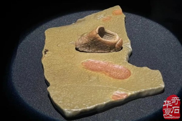 2026春季阿拉善玉·观赏石文化旅游活动即将启幕！