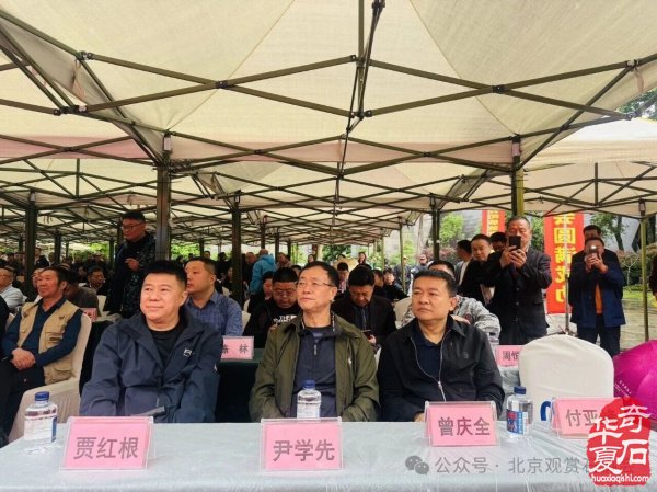 中国首届长江（岷江源）黄河大联盟暨都江堰第十届熊猫杯奇石古玩盆景博览会隆重开幕