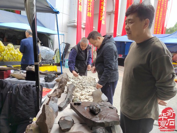 2026中国●淄博第十三届赏石文玩博览会盛大开幕