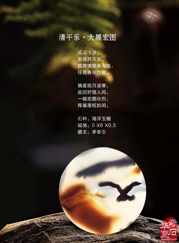 《于公赏石》深耕基层助推各个展会