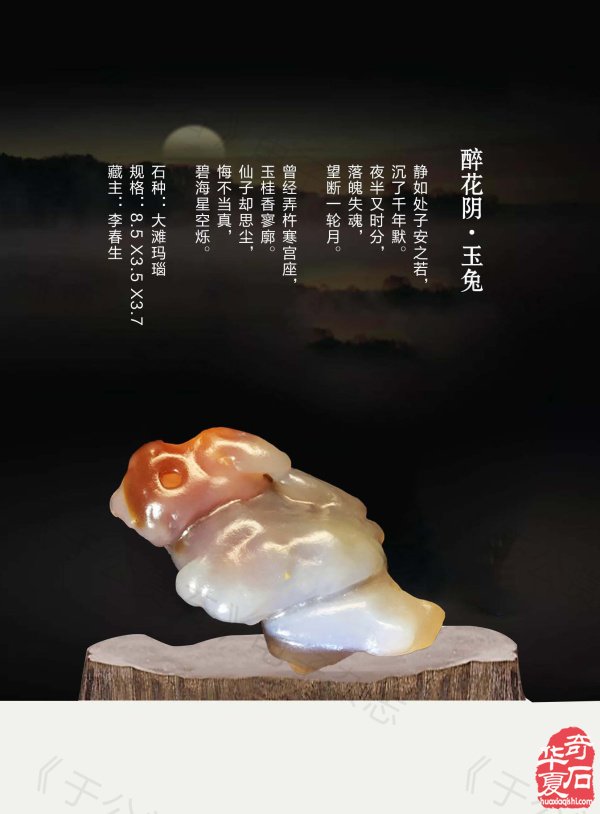 《于公赏石》深耕基层助推各个展会
