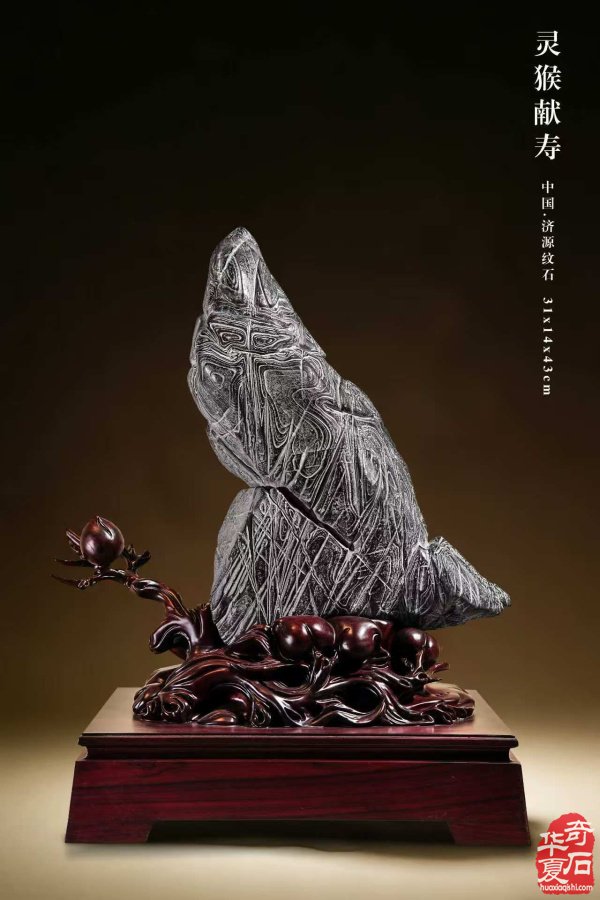 展会精品