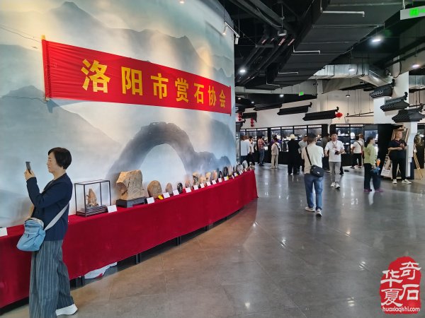 2026 第四届中国黄山赏石文化交流博览会盛大开幕