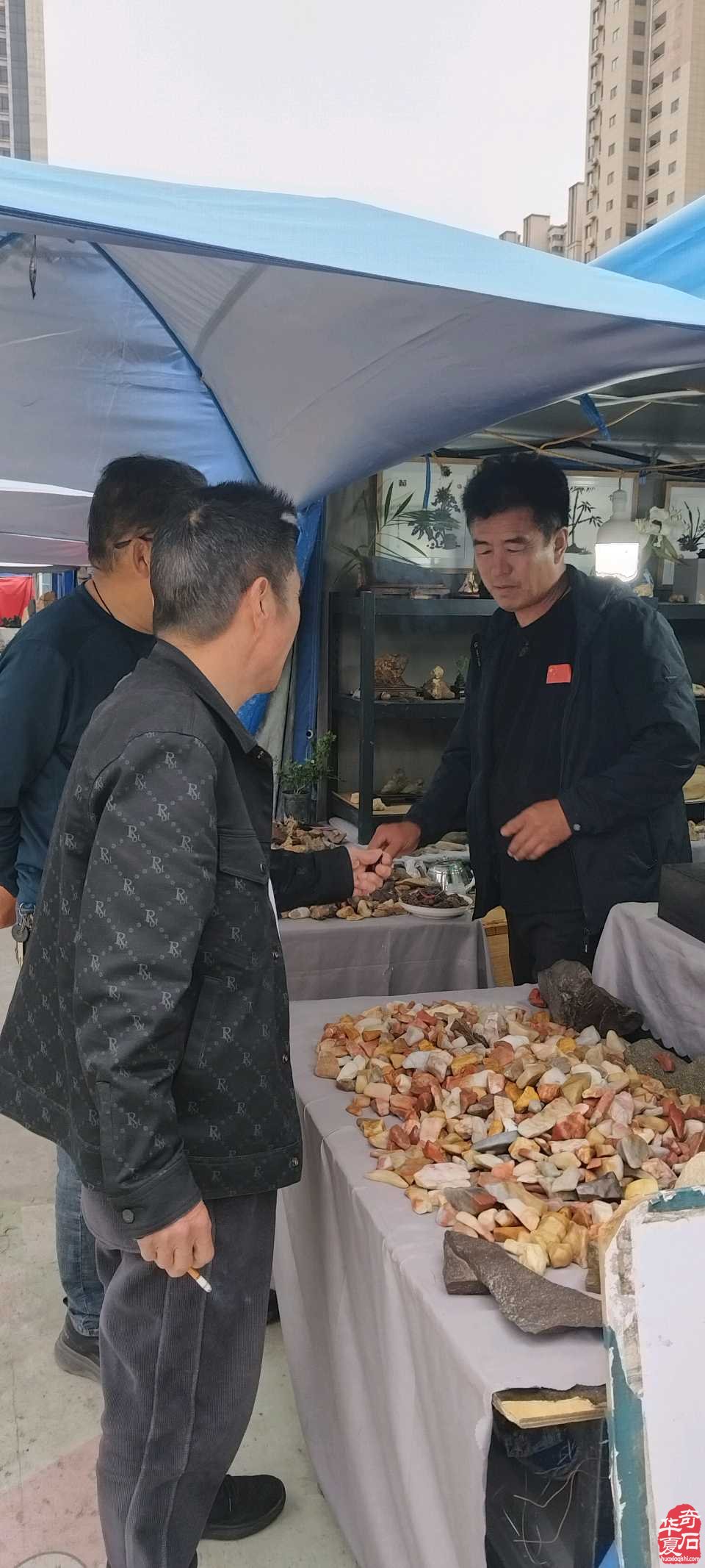 赶展石商的苦乐年华 图