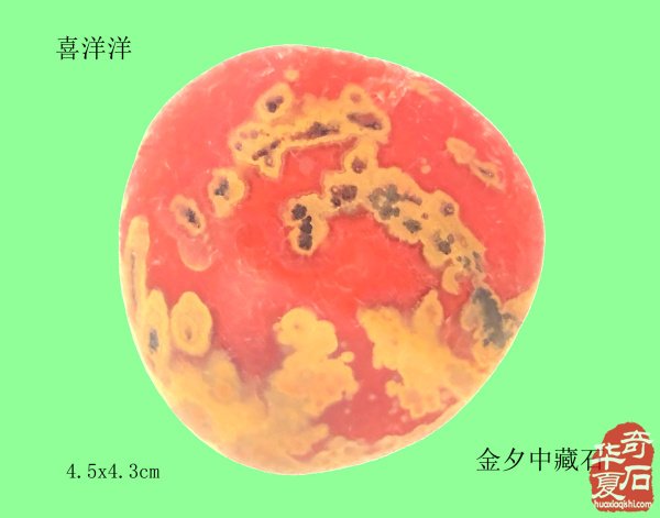 登门访师友·倾心述石经