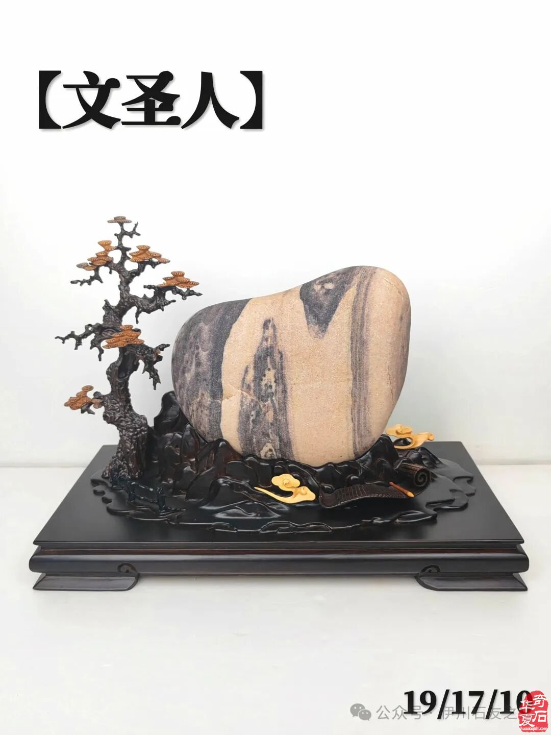 让赏石文化走进千家万户 图