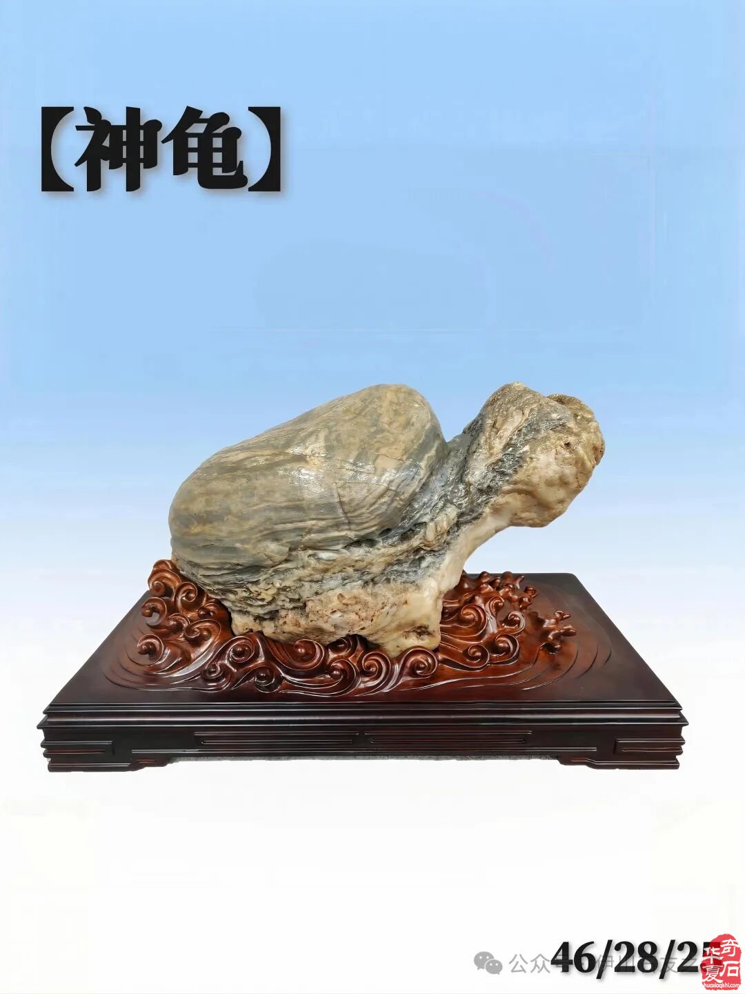 让赏石文化走进千家万户 图