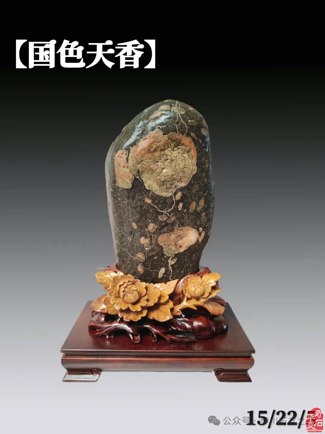 让赏石文化走进千家万户 图