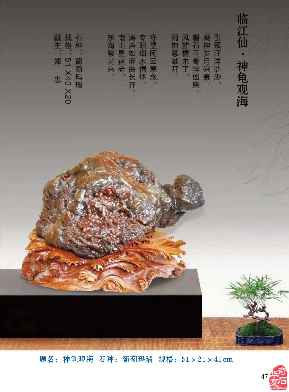 新一期《于公赏石》电子版杂志上线啦