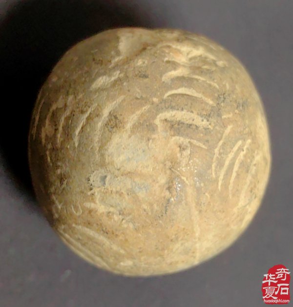 陶瓷捶丸：中国古代的“高尔夫球”？