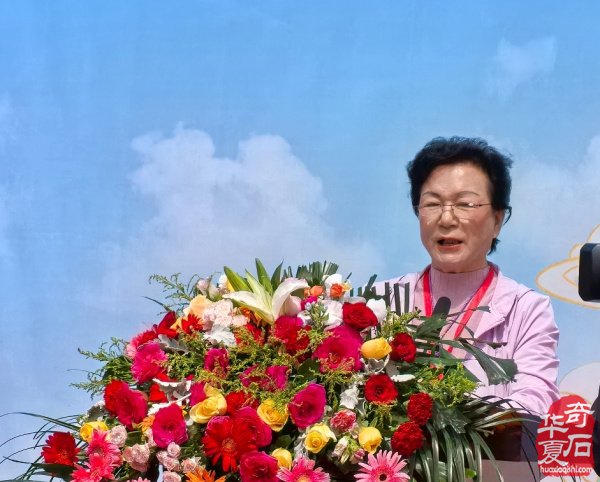 山西忻州首届观赏石文化旅游展览会