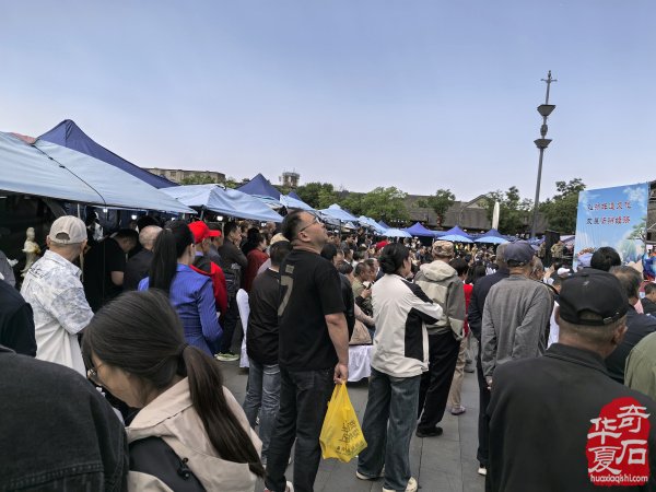山西忻州首届观赏石文化旅游展览会