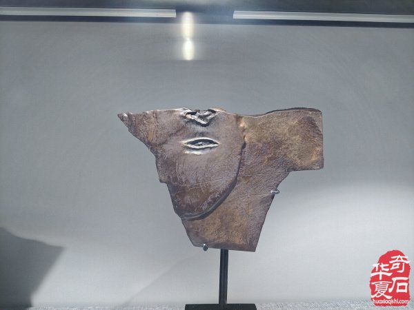 山西忻州首届观赏石文化旅游展览会盛大开幕