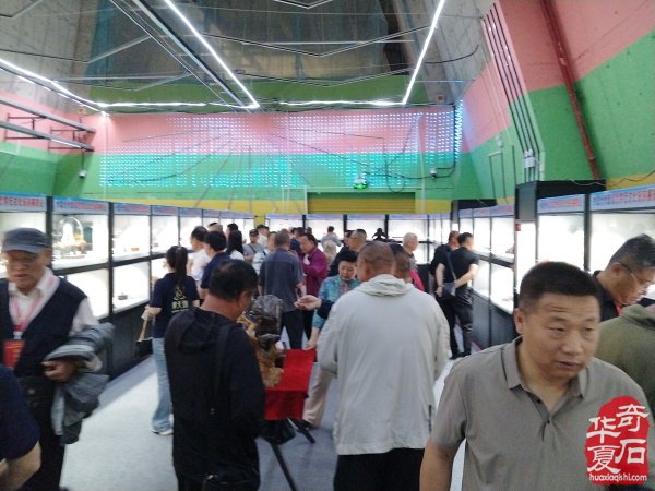 贺忻州首届观赏石文化旅游展览会圆满成功