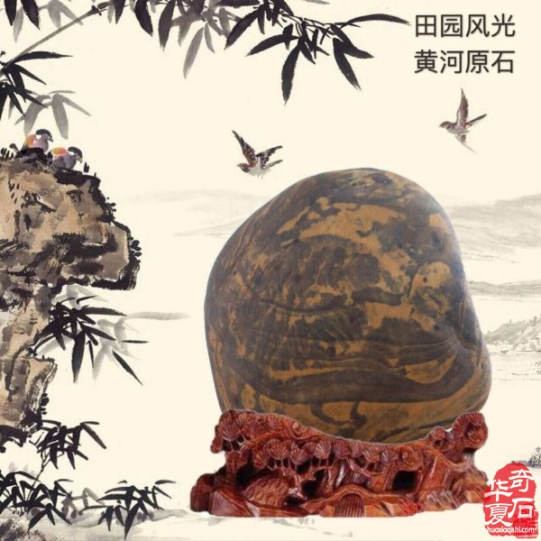 太原第五届 “小井峪杯” 奇石展十天倒计时