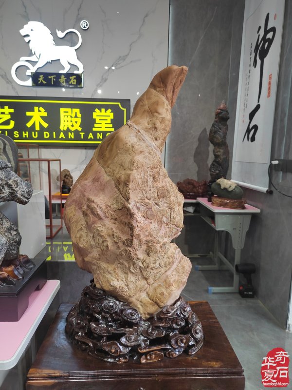 洛阳赏石文化活动万里行走进潼关