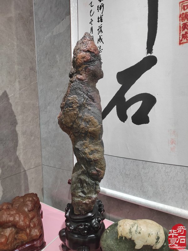 洛阳赏石文化活动万里行走进潼关