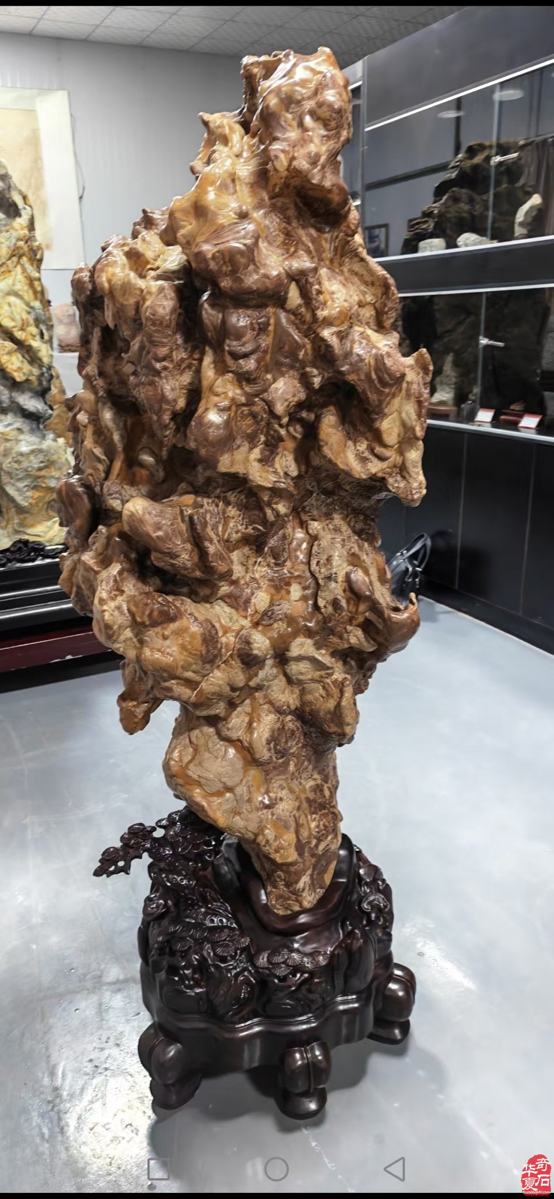 洛阳赏石文化活动万里行走进潼关