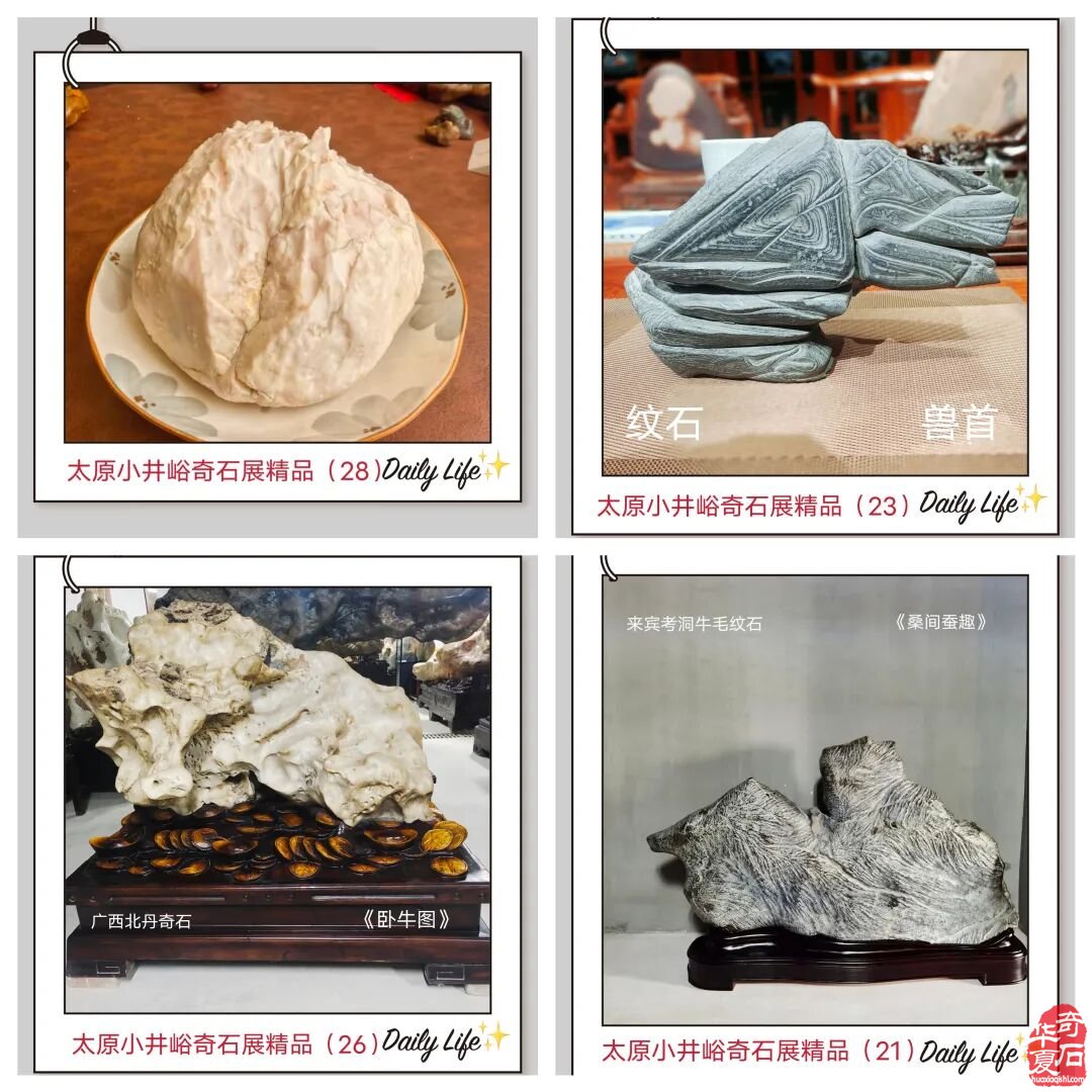 赏石联盟聚人气,跨界融合促销费
