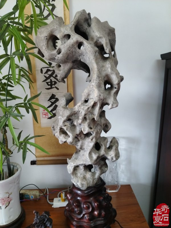 石韵初心传河洛 痴藏太湖守芳华 —— 致敬洛阳赏石前辈李德纯、李重生二老