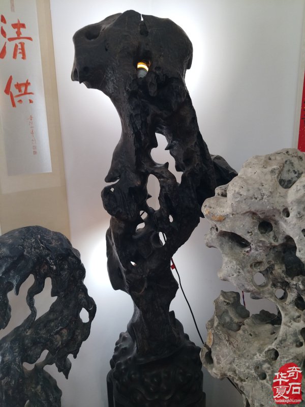 石韵初心传河洛 痴藏太湖守芳华 —— 致敬洛阳赏石前辈李德纯、李重生二老