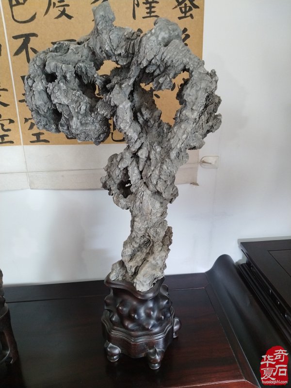 石韵初心传河洛 痴藏太湖守芳华 —— 致敬洛阳赏石前辈李德纯、李重生二老