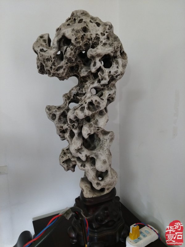 石韵初心传河洛 痴藏太湖守芳华 —— 致敬洛阳赏石前辈李德纯、李重生二老