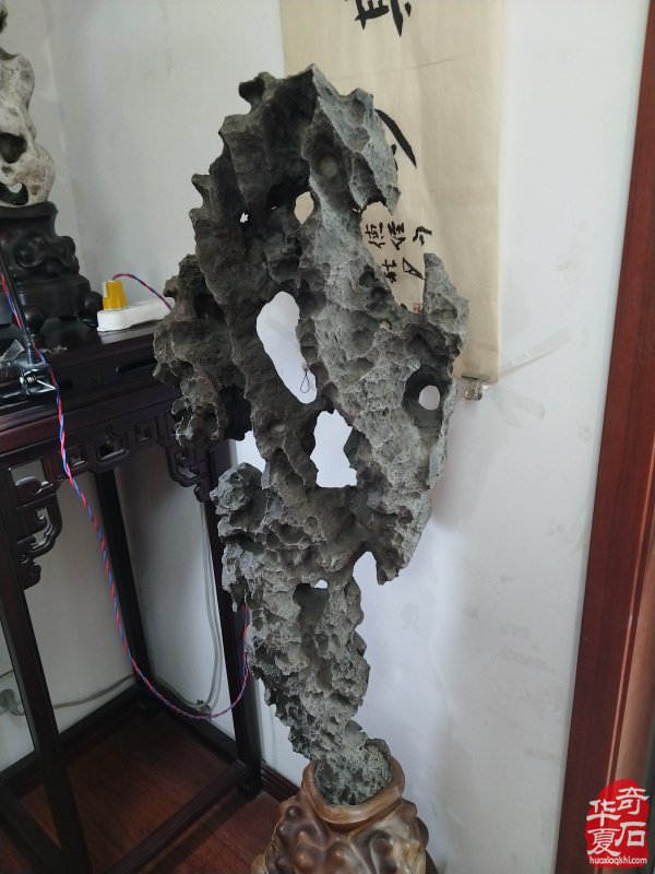 石韵初心传河洛 痴藏太湖守芳华 —— 致敬洛阳赏石前辈李德纯、李重生二老