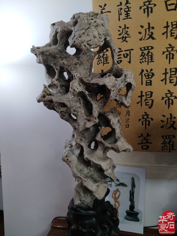 石韵初心传河洛 痴藏太湖守芳华 —— 致敬洛阳赏石前辈李德纯、李重生二老
