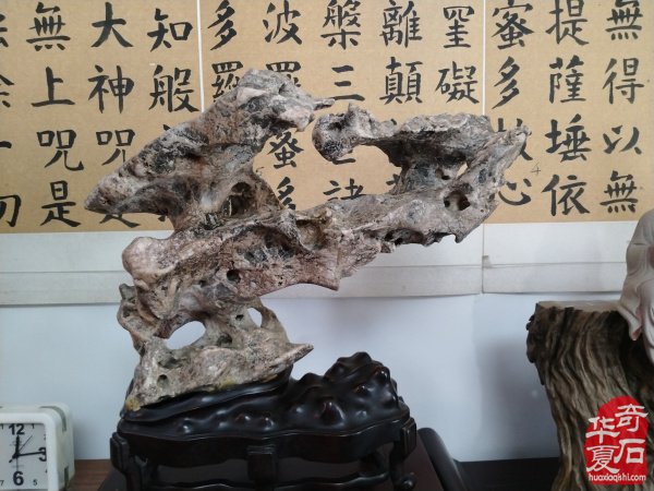 石韵初心传河洛 痴藏太湖守芳华 —— 致敬洛阳赏石前辈李德纯、李重生二老