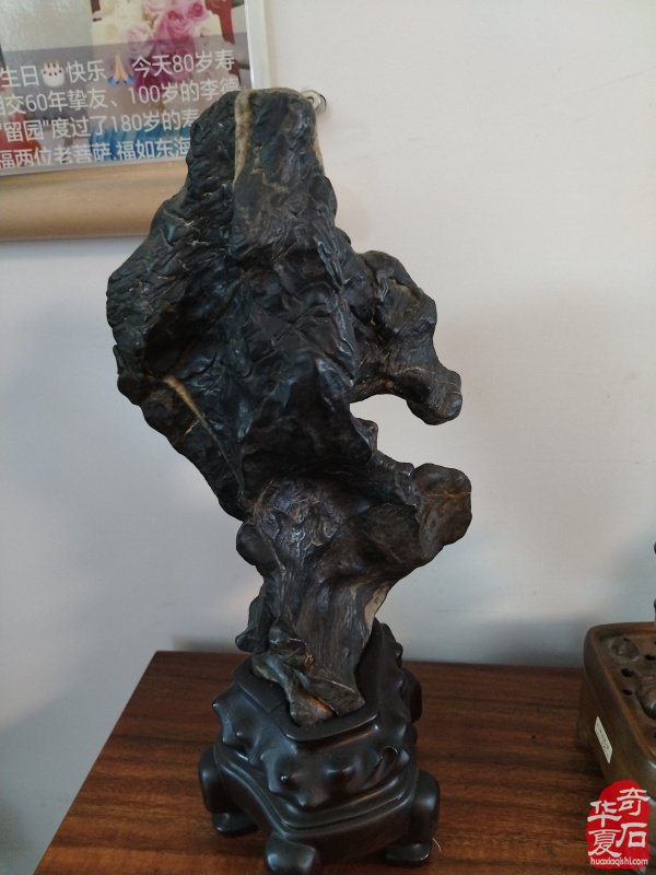 石韵初心传河洛 痴藏太湖守芳华 —— 致敬洛阳赏石前辈李德纯、李重生二老